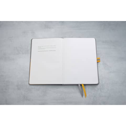 Notizbuch ca. A5 88Blatt 80 g/m&sup2; liniert hellgrau   linescape Hardcover SIGEL LS101 Produktbild Detaildarstellung XL